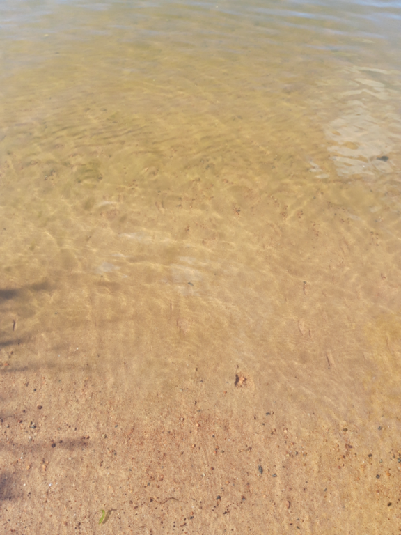 Köyliönjärvi (34.054.1.001)-Valtakunnallinen sinileväseuranta (Yttilän Otta)-ObsALG-202109281529-61530b9bbea12.png