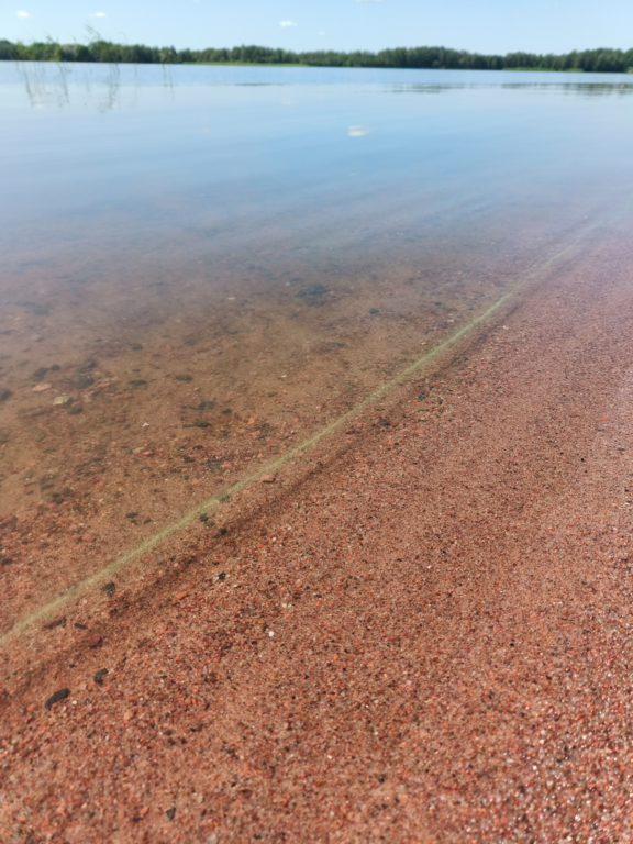 Köyliönjärvi (34.054.1.001)-Valtakunnallinen sinileväseuranta (Yttilän Otta)-ObsALG-202507091300-1752055267919.png