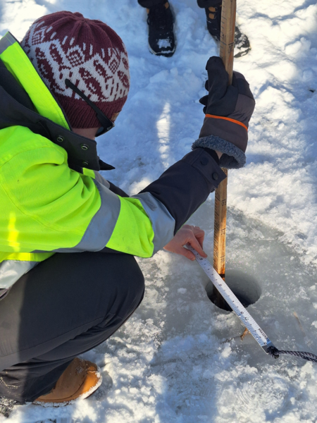 Tiedosto:Kaihunlahti (04.151.1.035)-Kota-ObsIMG-202503121408-67d2cbee38e3b.png