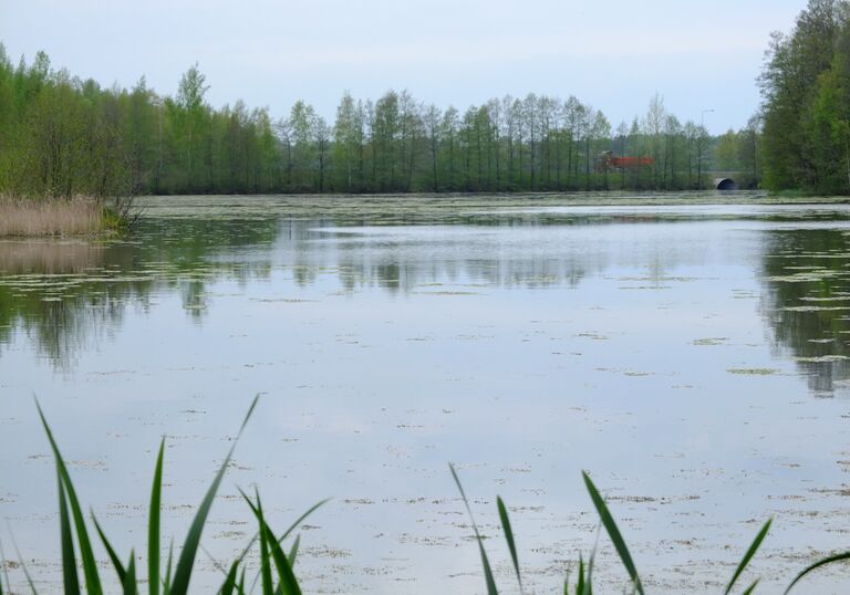 Kirkkojarvi Kuohunlahti 2.jpg