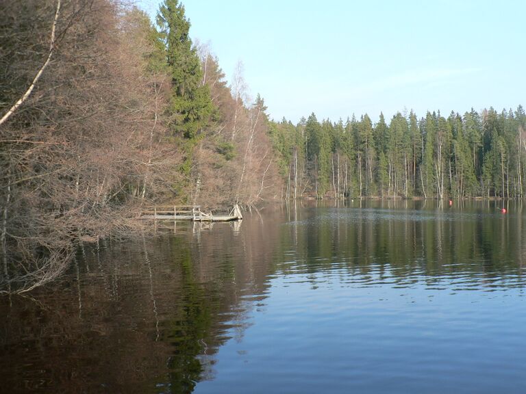 Kuusijärvi pohjoisranta.JPG