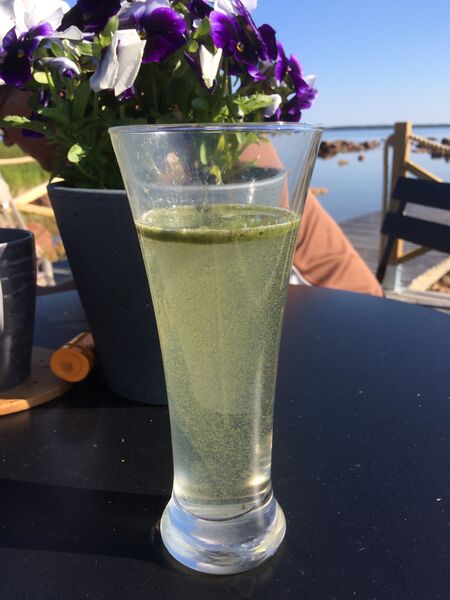 Tiedosto:Lohtajanselkä-Sivukari -ObsIMG-201807171048-6.jpeg