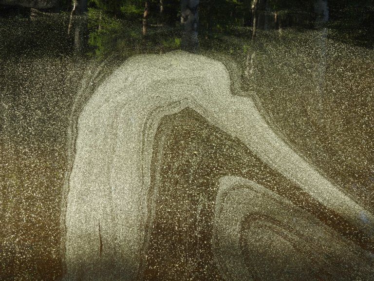 Konnevesi (14.711.1.001)-Rappaatlahti-ObsIMG-202206102000-62a38a4c34e9a.png