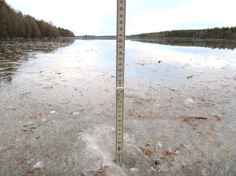 Sääksjärvi (23.097.1.002)-Sääksjärvi-ObsIMG-202001191430-90.jpeg