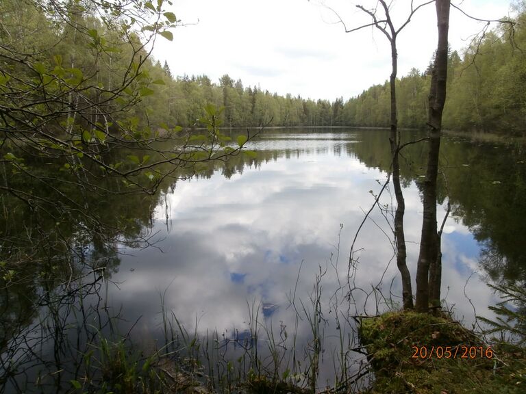 Suonpaanlampi etelapaa.JPG