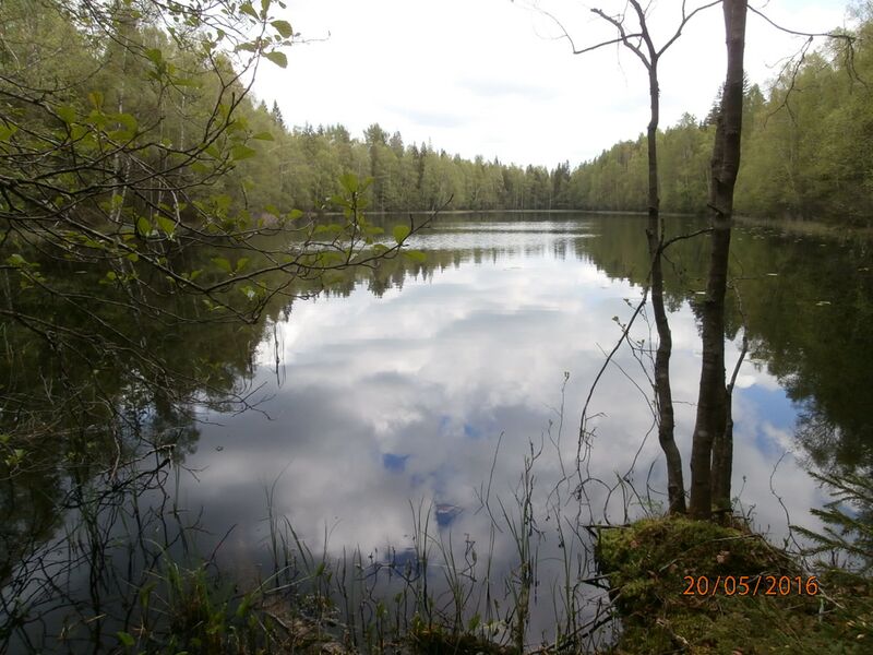 Tiedosto:Suonpaanlampi etelapaa.JPG