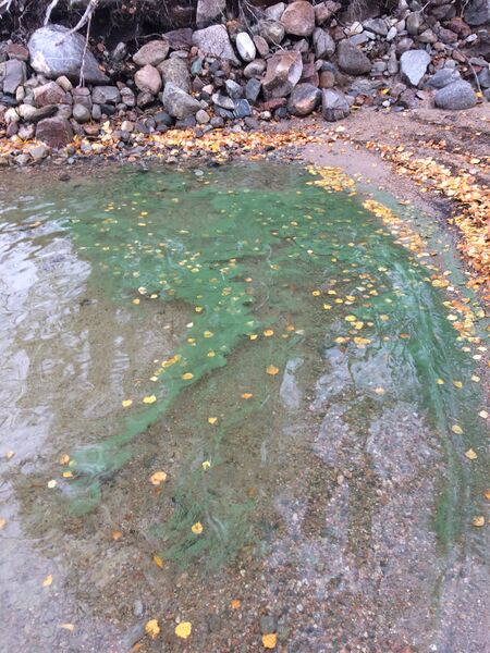 Tiedosto:Keitele (yhd.)-Lohkare-ObsIMG-201810181200-68.jpg