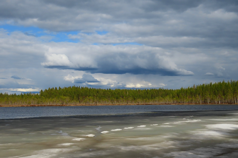 Lokkilampi (04.488.1.007)-Havaintopaikka 1-ObsIMG-202205141720-627fbabb1e9ff.png