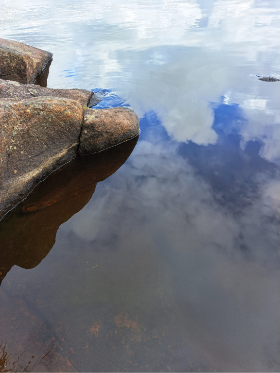 Luodonjärvi (99.110.1.001)-Valtakunnallinen sinileväseuranta-ObsALG-202307181451-64b67c9d49a02.png
