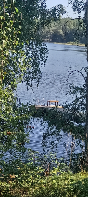 Saimaa (04.112.1.001)-Rotarien sinileväseuranta (Pulkkaselkä, Hietalahti)-ObsIMG-202408261219-66cc48fae8de6.png