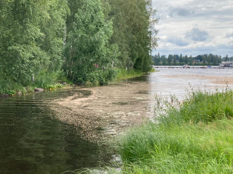 Tiedosto:Ukonveden lähialue (04.151)-Leiritytöt-ObsIMG-202308021313-64ca2c942ce39.png