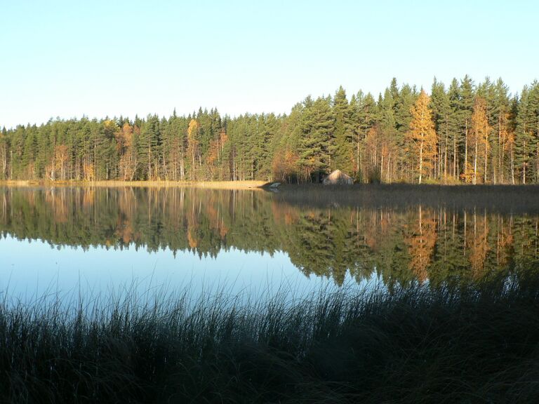 Kapustalahti 09 10 2011.JPG