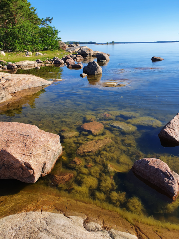 Keipsalo-Rotarien sinileväseuranta (Stora Småholmen)-ObsIMG-202207040833-62c27f6857f61.png