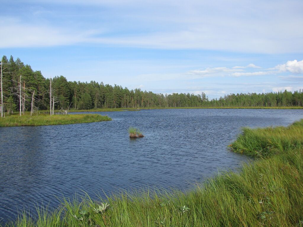 PikkuSunijärvi.JPG