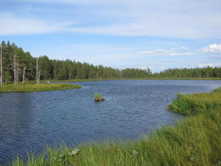 PikkuSunijärvi.JPG