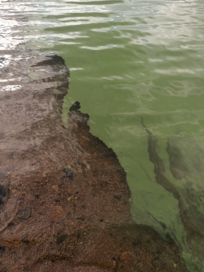 Rukajärvi (73.053.1.002)-Tahkolanrannantie-ObsALG-202309031505-64f47643c57f2.png