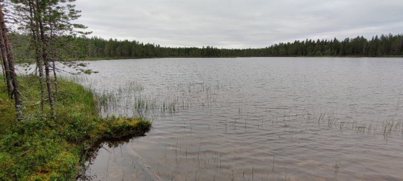 Tiedosto:Vaaralampi (e) (74.022.1.006)-Vaaralampi-ObsIMG-202207201947-62d831d13c935.png