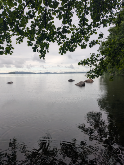 Vesijärvi (14.241.1.001)-Myllysaaren koirauimaranta-ObsALG-202606240959-1782284447353.png