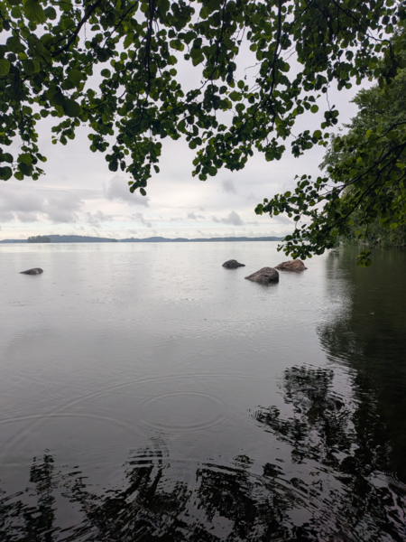 Tiedosto:Vesijärvi (14.241.1.001)-Myllysaaren koirauimaranta-ObsALG-202606240959-1782284447353.png