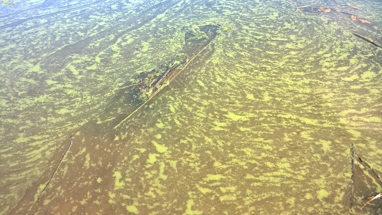 2.7.2015 Haapajärvi.jpg