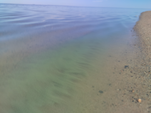 Hailuoto - Kuivaniemi-Santapankki-ObsIMG-202507151215-6876a9daed3f6.png