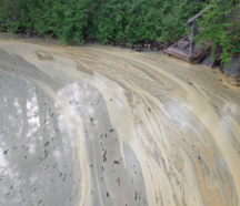 Siitepölyä vedenpinnalla Humppilaniemen levähavaintopisteellä