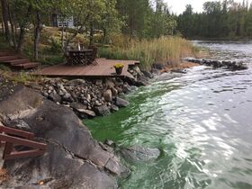 Kallavesi (yhd.)-Laivonsaari -ObsIMG-201909211927-52.jpeg