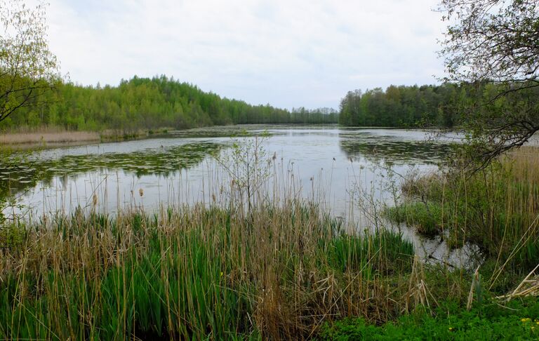 Kirkkojarvi Kuohunlahti 5.jpg