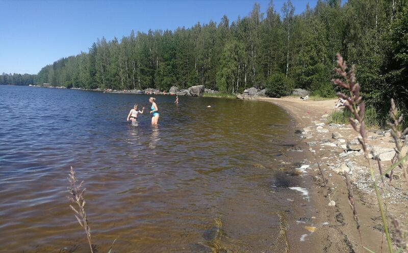 Tiedosto:Leppävesi (14.311.1.001)-Leppälahden uimaranta-ObsIMG-201906301539-58.jpg