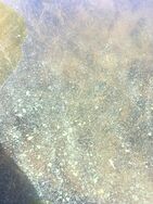 Skaftungin edusta/Bobergin lahti, Tallgrund itäranta