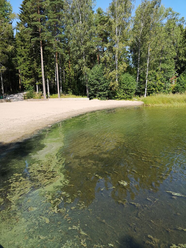 Suvisaaristo-Lauttasaari-Iso Vasikkasaari, uimaranta-ObsIMG-201908101252-46.jpg