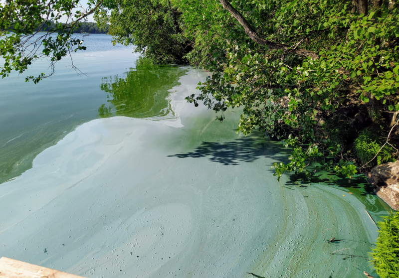 Tiedosto:Enäjärvi (22.005.1.001)-Sopukantie 36, Lusila-ObsIMG-202407240159-66a037a7802c8.png