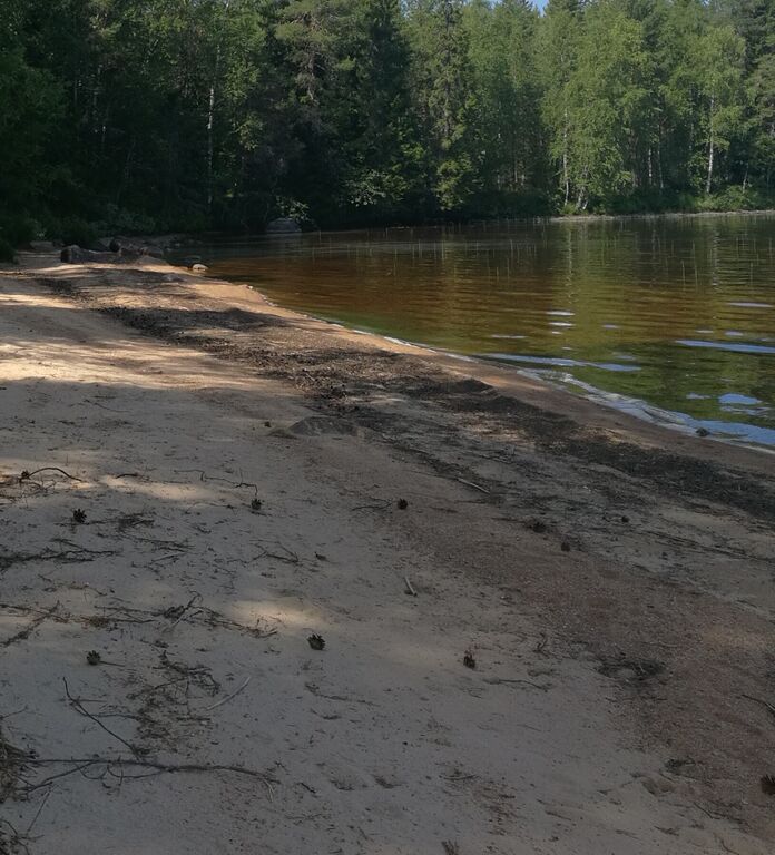 IMG 20180722 185238.jpg