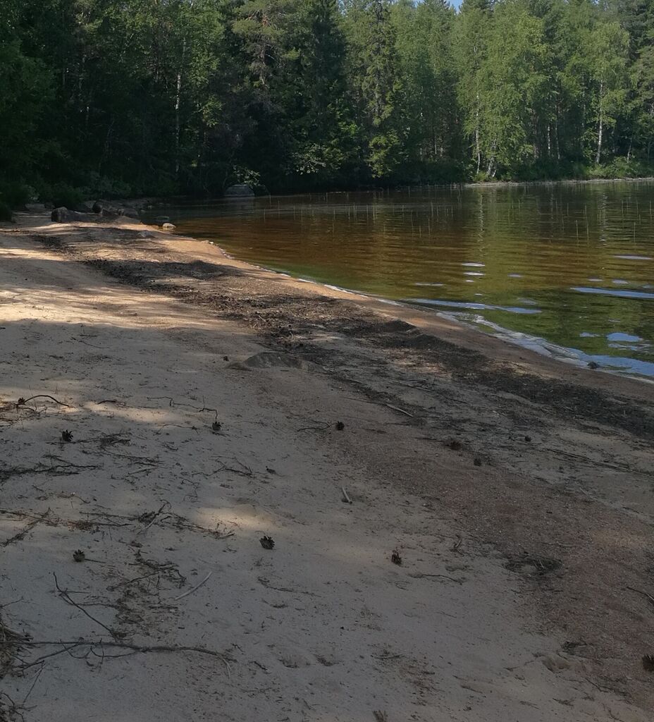 IMG 20180722 185238.jpg