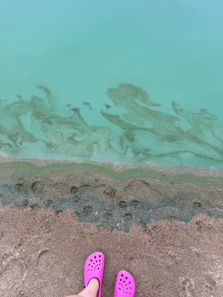 Pielinen (04.411.1.001)-Koli Camping, Isohiekka-ObsIMG-202507021836-6865d1602e366.png