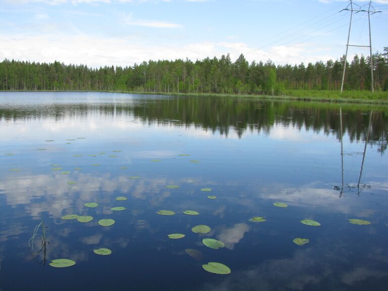PikkujärviLapp.JPG