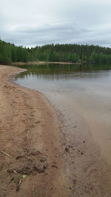 Rapojärvi - Haukkajärvi (14.182.1.002)-Vennan uimaranta-ObsIMG-202006011215-63.jpg