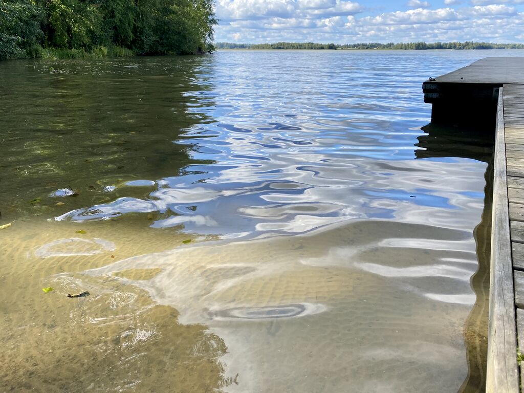 Tuusulanjärvi (21.082.1.001)-Valtakunnallinen sinileväseuranta (Halosenniemi)-ObsIMG-202009020929-29.jpeg