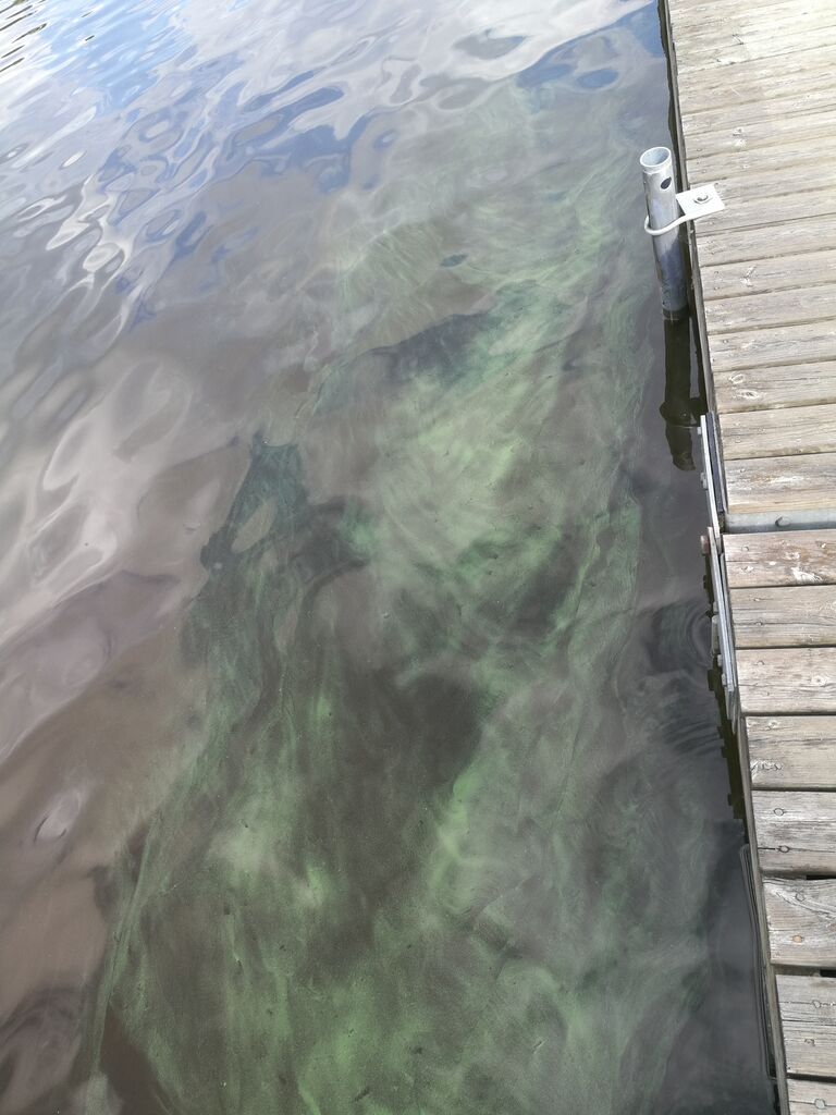 Vanajavesi (yhd.)-Herniäisten uimaranta, Hattula-ObsIMG-201807121735-79.jpg