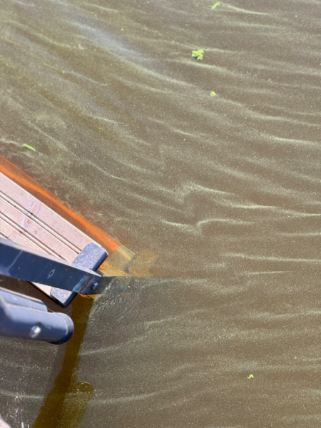 Tiedosto:Vanajavesi (yhd.)-Rotarien sinileväseuranta (Haapasaarenkärki)-ObsIMG-202408141719-66bcbd3bd27d8.png