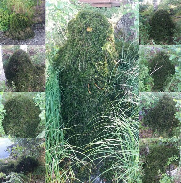 Tiedosto:20170722 221401.jpg