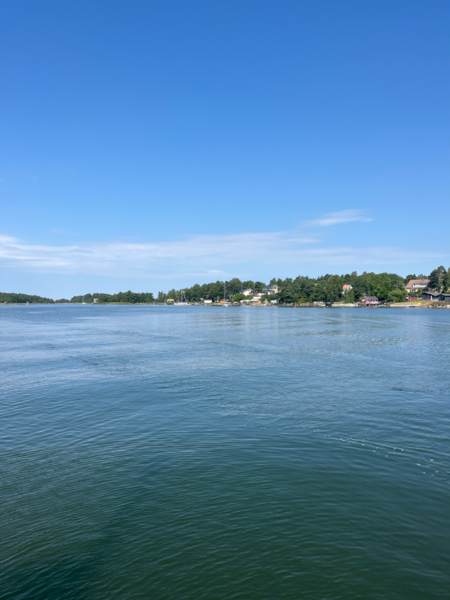 Tiedosto:Rauman edusta-Valtakunnallinen sinileväseuranta (Syväraumanlahti)-ObsIMG-202507221130-1753173295784.png