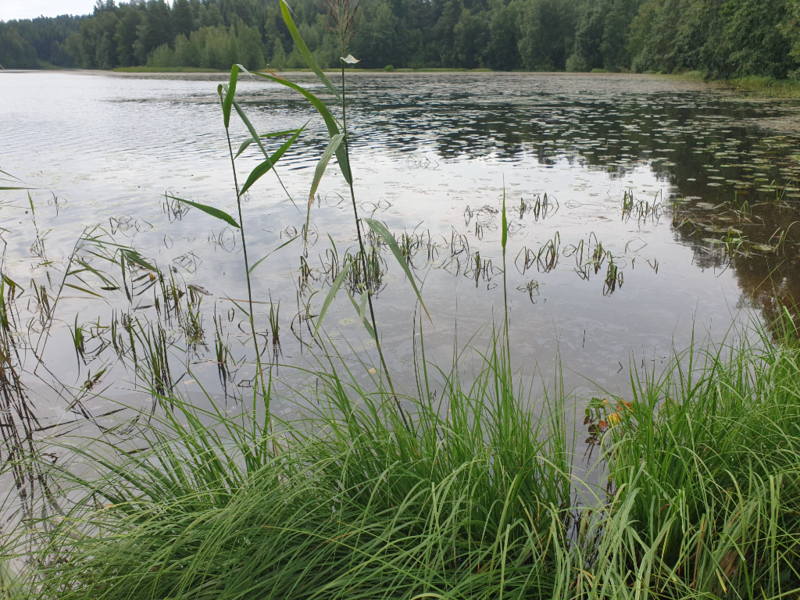 Tiedosto:Urpolanlampi (04.152.1.001)-Uusi hulevesiputki-ObsIMG-202408101208-66b72e7b8bd98.png