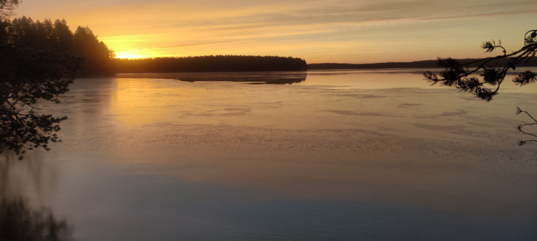 Välijärvi (74.021.1.051)-Luikonsaari-ObsICE-202310200805-65320d30b54d1.png