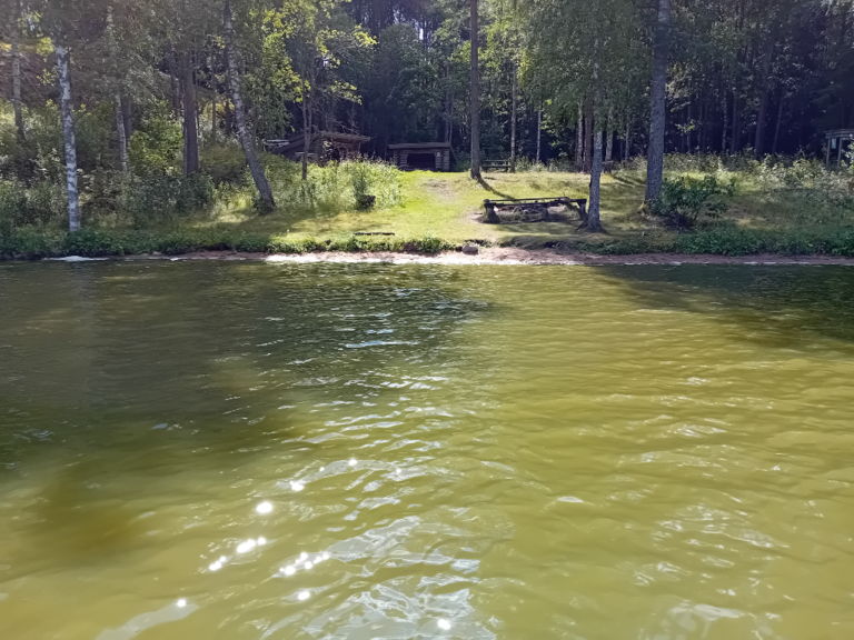 Hiidenvesi (23.031.1.001)-Rysätarha-ObsIMG-202407201225-669ba3aebcb48.png