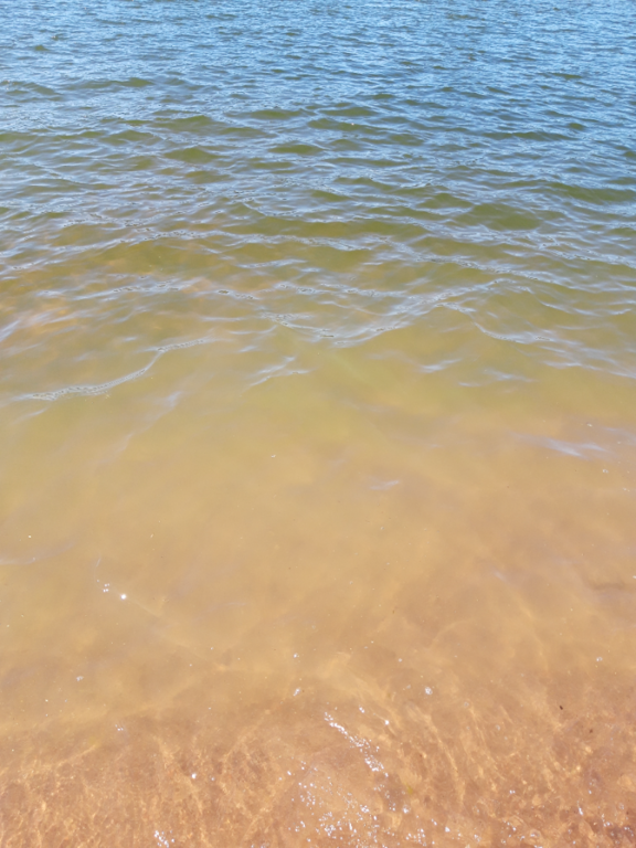 Pyhäjärvi (34.031.1.001)-Valtakunnallinen sinileväseuranta (Katismaan uimaranta)-ObsALG-202207191510-62d6a1001da25.png