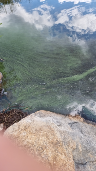 Tiedosto:Iisvesi - Virmasvesi - Rasvanki (14.722.1.001)-Spirala-ObsIMG-202307101125-64abc1f7370f5.png