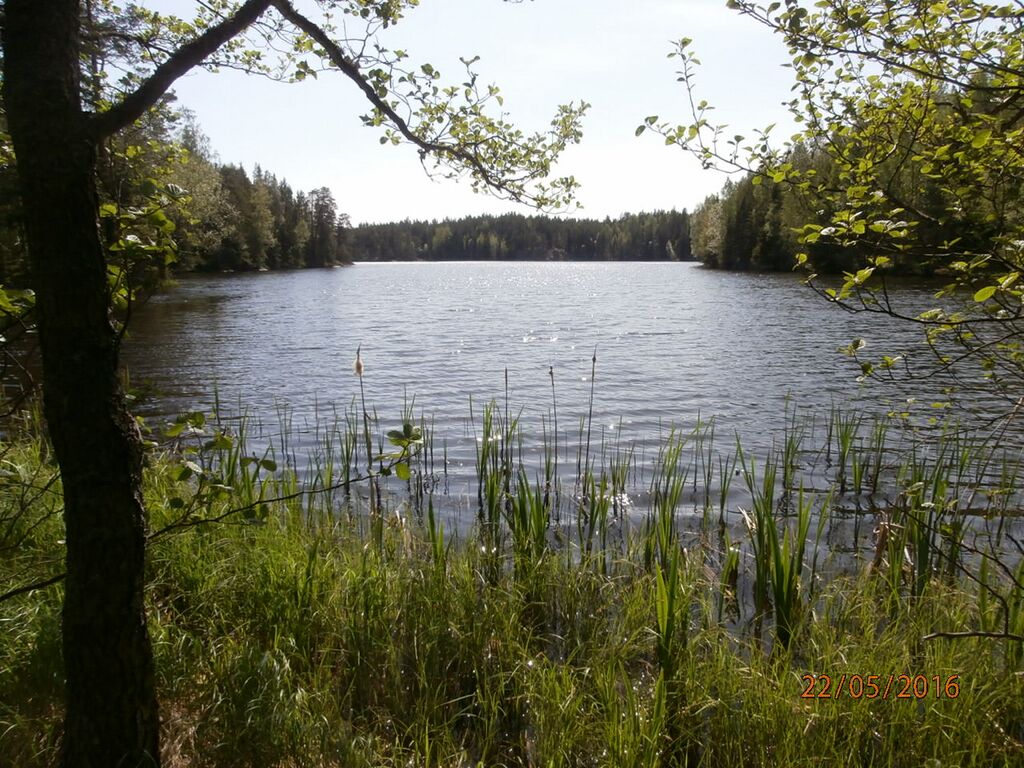 Gubbholmsviken Brukstrasket.JPG