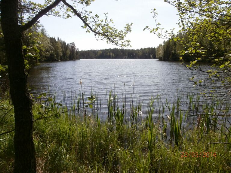 Gubbholmsviken Brukstrasket.JPG