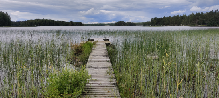 Kutunjärvi (04.265.1.032)-Ysipirtti-ObsIMG-202207181437-62d5489d0614d.png